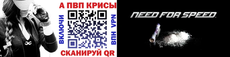 A PVP СК  Каргат 