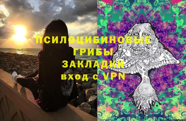 крисы Володарск
