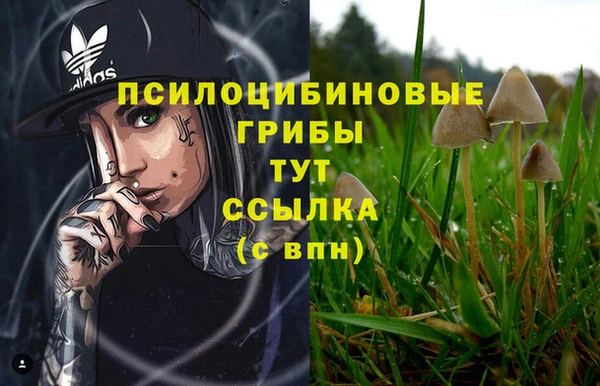 крисы Володарск