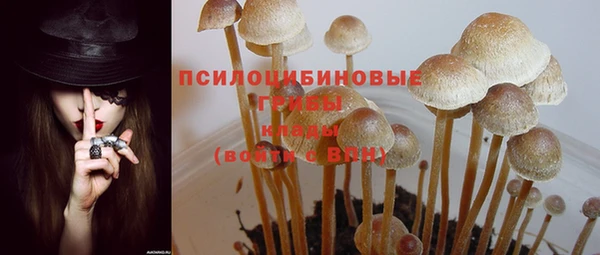 ПСИЛОЦИБИНОВЫЕ ГРИБЫ Волоколамск