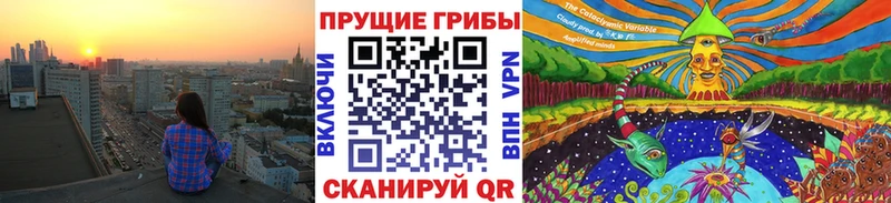 kraken как зайти Каргат Галлюциногенные грибы GOLDEN TEACHER